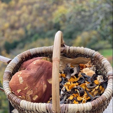 Domaine Le Verdier Saint-Michel-de-Deze ภายนอก รูปภาพ