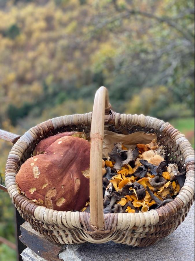 Domaine Le Verdier Saint-Michel-de-Deze ภายนอก รูปภาพ